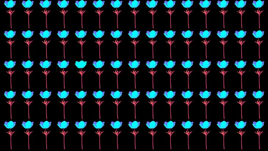 Optical Illusion Brain Challenge: If you have Eagle Eyes find the Odd Flower in 15 Seconds