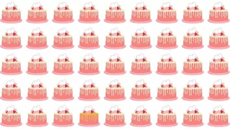 Optical Illusion Challenge: If you have Eagle Eyes find the Odd Cake in 15 Seconds