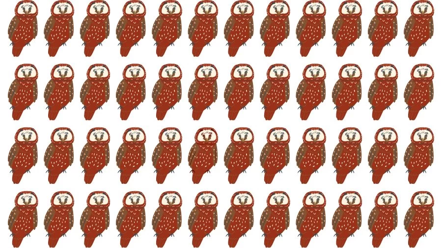 Optical Illusion Visual Test: If you have Eagle Eyes find the Odd Owl in 18 Seconds