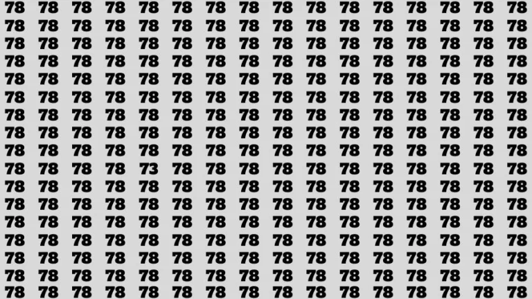 Optical Illusion Visual Test: If you have Sharp Eyes Find the Number 73 in 15 Secs