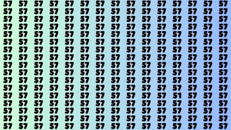 Optical Illusion Brain Challenge: If you have 50/50 Vision Find the number 51 among 57 in 12 Secs