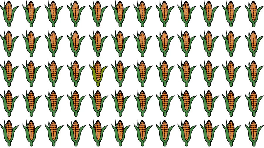 Optical Illusion Challenge: If you have Eagle Eyes find the Odd Corn in 13 Seconds