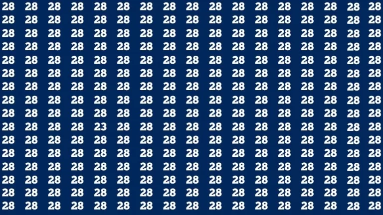 Optical Illusion Brain Challenge: If you have 50/50 Vision Find the number 23 in 15 Secs