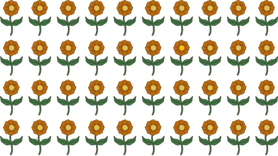 Optical Illusion Brain Test: If you have Eagle Eyes find the Odd Flower in 15 Seconds