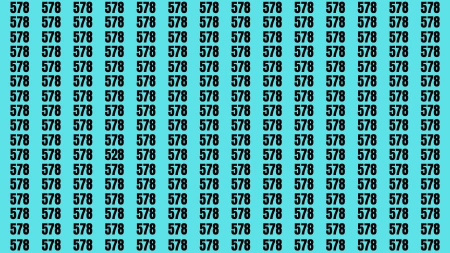 Observation Skill Test: If you have Sharp Eyes Find the Number 528 in 15 Secs