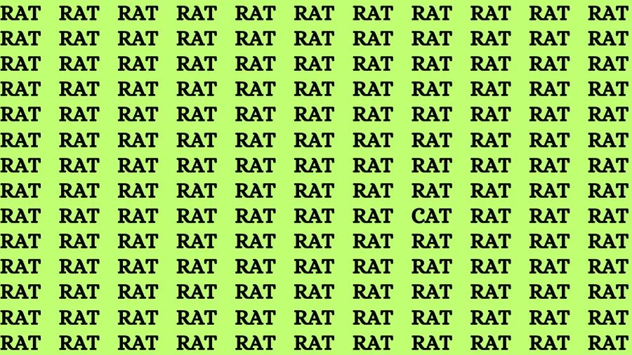 Optical Illusion Brain Challenge: If you have Sharp Eyes Find the Word Cat among Rat in 20 Secs