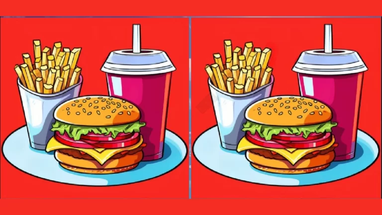 Only the most observant can spot 3 differences between the Burger Meal pictures in 20 seconds.