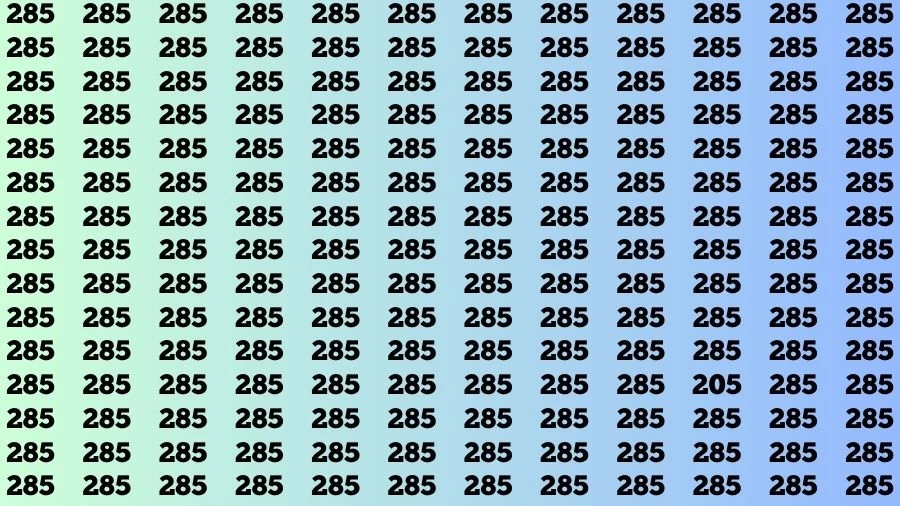 Optical Illusion Brain Challenge: If you have 50/50 Vision Find the number 205 in 12 Secs