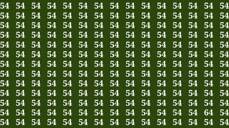 Observation Brain Test: If you have 50/50 Vision Find the Number 64 in 15 Secs