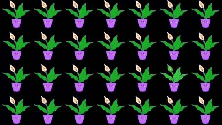 Optical Illusion Brain Test: If you have Eagle Eyes find the Odd Plant in 8 Seconds