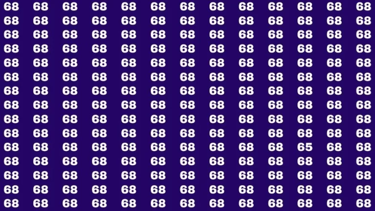 Observation Skill Test: If you have Sharp Eyes Find the Number 65 among 68 in 15 Secs