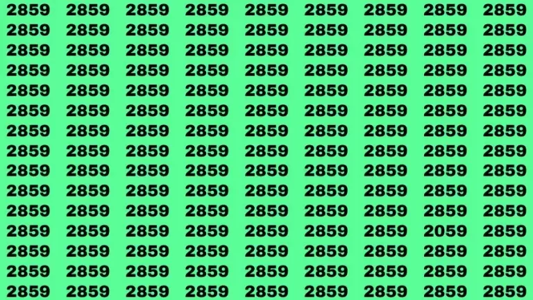 Observation Skill Test: If you have Eagle Eyes Find the Number 2059 in 15 Secs