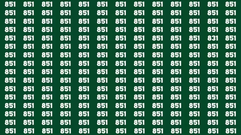 Observation Skill Test: If you have Eagle Eyes Find the Number 831 in 15 Secs