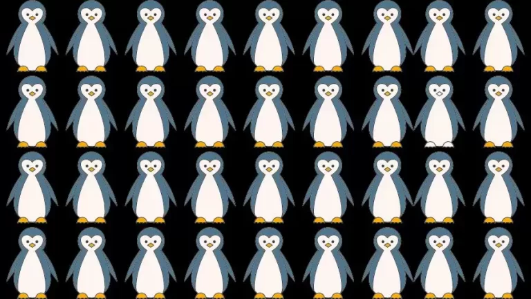 Optical Illusion Brain Challenge: If you have Hawk Eyes Find the Odd Penguin in 15 Secs