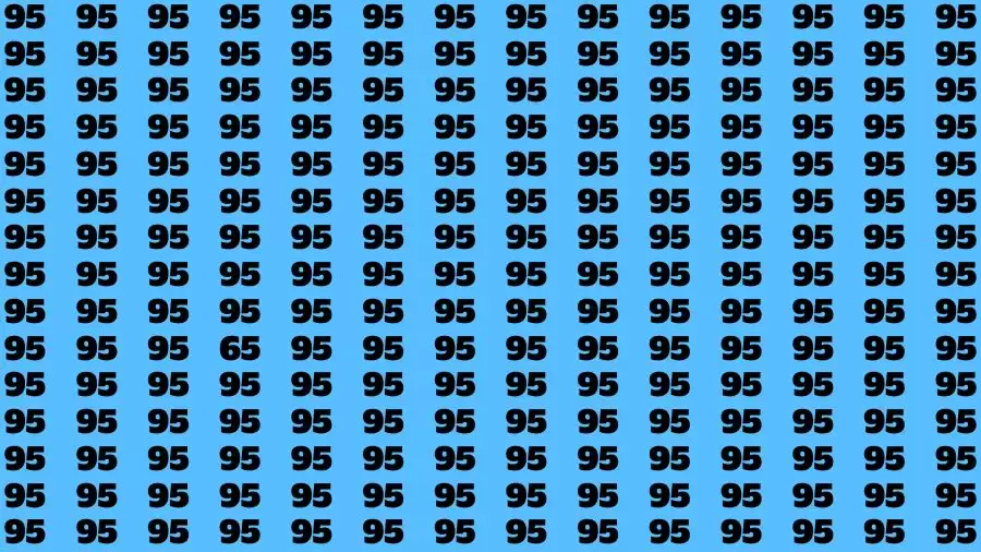 Observation Skill Test: If you have Eagle Eyes Find the Number 65 in 15 Secs