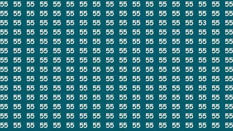 Observation Skill Test: If you have Sharp Eyes Find the Number 53 in 15 Secs