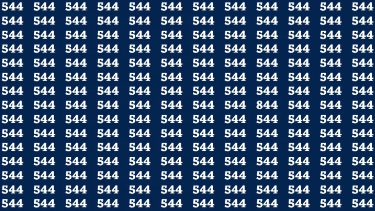 Visual Test: If you have Eagle Eyes Find the number 844 in 12 Secs