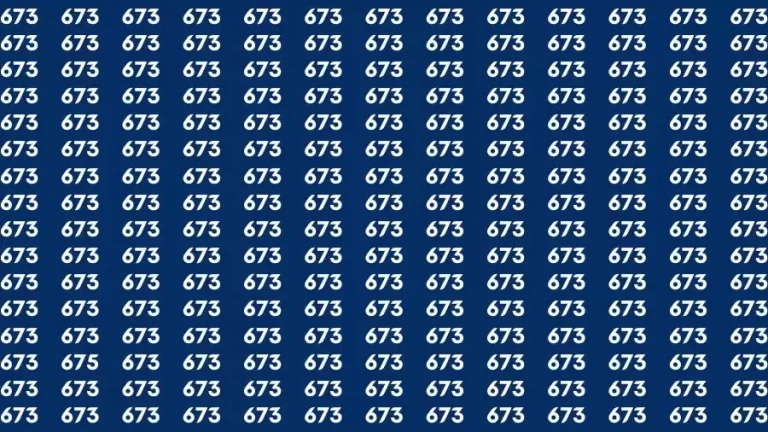 Observation Skill Test: If you have Sharp Eyes Find the Number 675 in 15 Secs