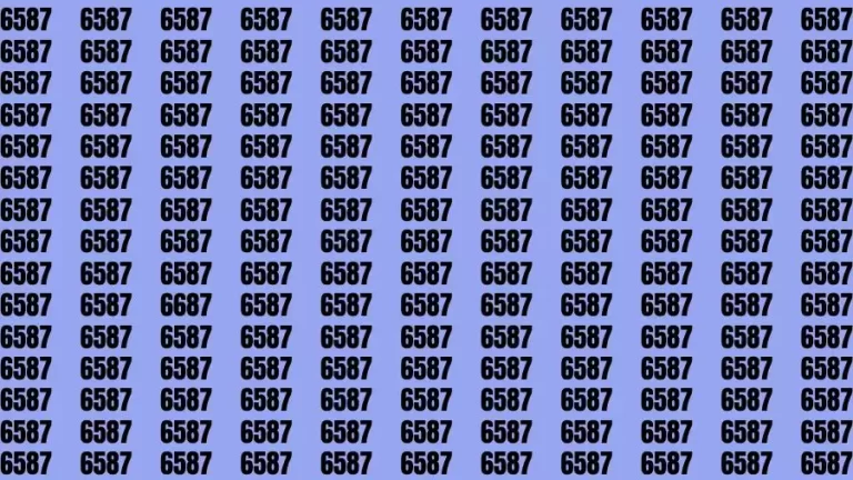 Optical Illusion Brain Challenge: If you have 50/50 Vision Find the number 6687 among 6587 in 12 Secs