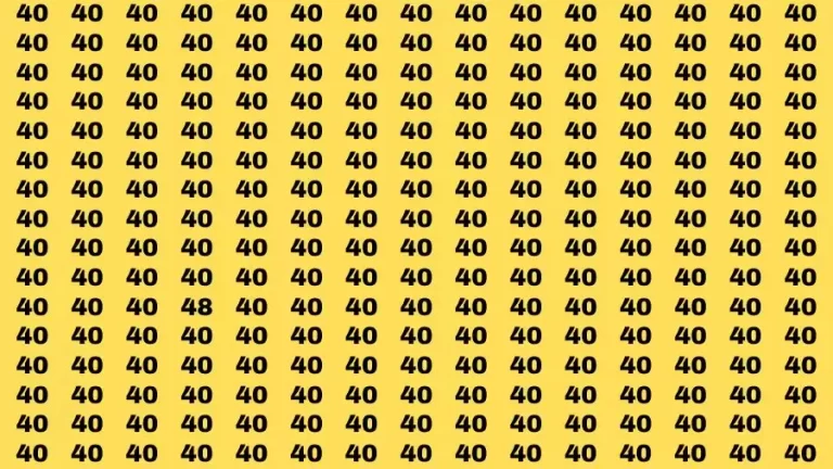 Optical Illusion Brain Challenge: If you have 50/50 Vision Find the number 48 in 12 Secs