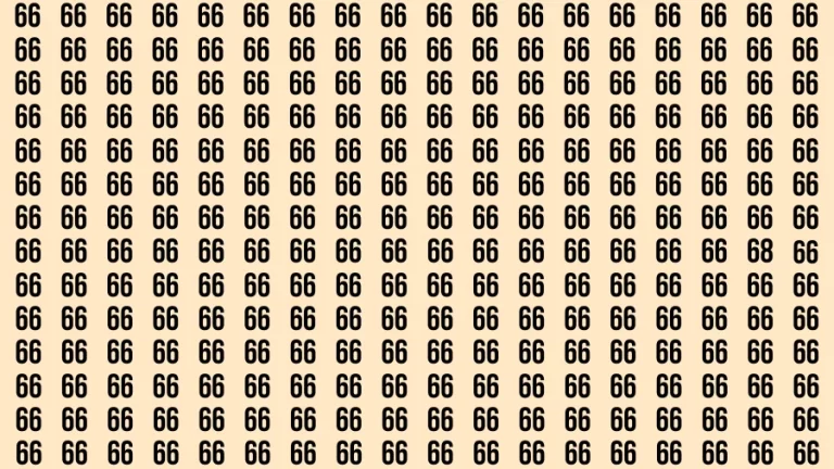 Observation Brain Challenge: If you have Hawk Eyes Find the Number 68 among 66 in 15 Secs