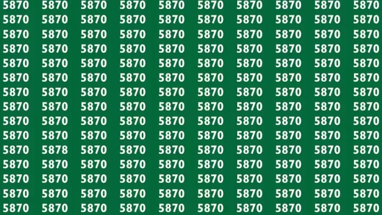 Optical Illusion Brain Challenge: If you have Hawk Eyes Find the Number 5878 in 15 Secs