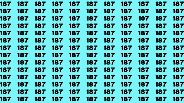 Optical Illusion Brain Challenge: If you have 50/50 Vision Find the number 107 in 12 Secs