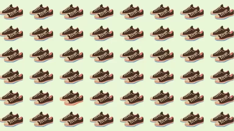 Optical Illusion Brain Test: If you have Sharp Eyes Find the Odd Shoe in 20 Secs