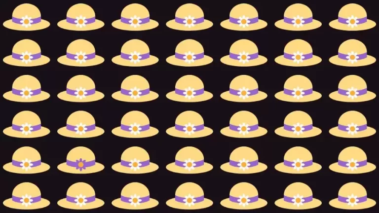 Optical Illusion Brain Challenge: If you have Hawk Eyes Find the Odd Hat in 10 Secs