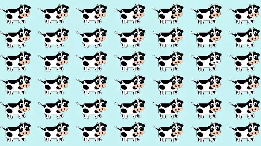 Optical Illusion Brain Challenge: If you have Hawk Eyes Find the Odd Cow in 9 Secs