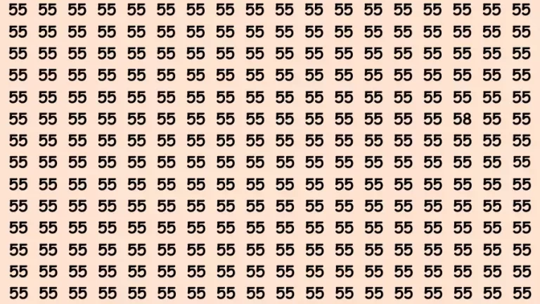 Observation Brain Challenge: If you have Hawk Eyes Find the Number 58 among 55 in 15 Secs