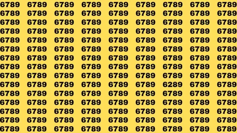 Observation Brain Challenge: If you have Hawk Eyes Find the Number 6289 in 15 Secs