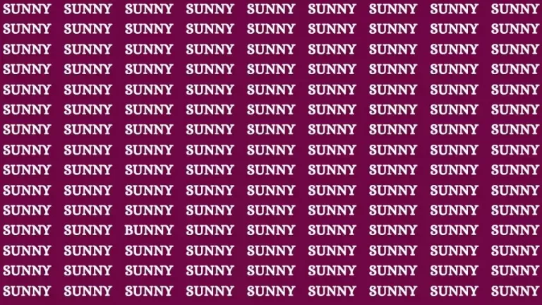 Observation Brain Challenge: If you have Hawk Eyes Find the word Bunny In 15 Secs