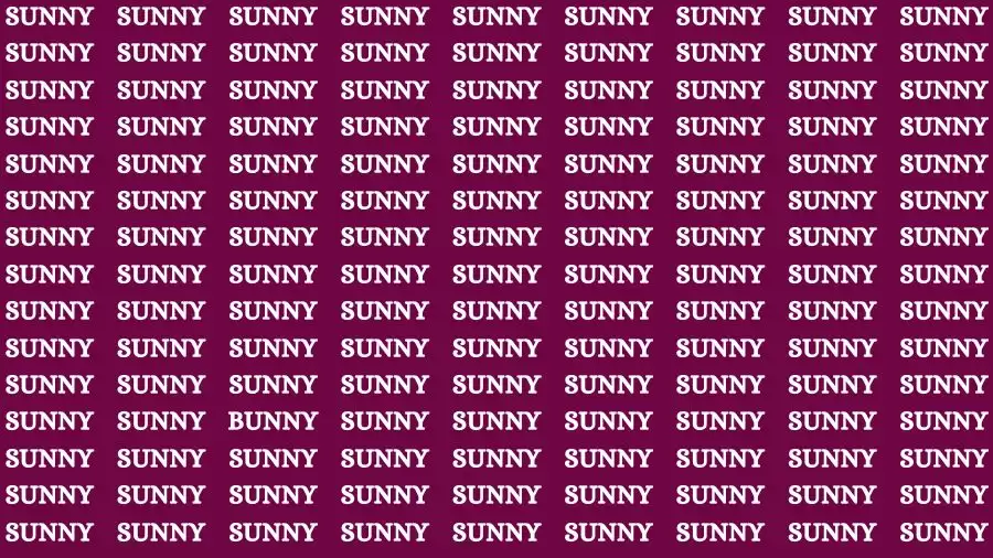 Observation Brain Challenge: If you have Hawk Eyes Find the word Bunny In 15 Secs