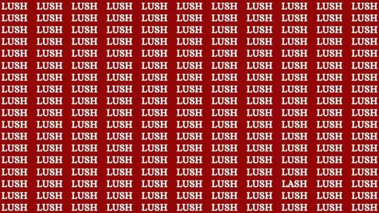 Observation Skill Test: If you have Keen Eyes Find the Word Lash in 15 Secs