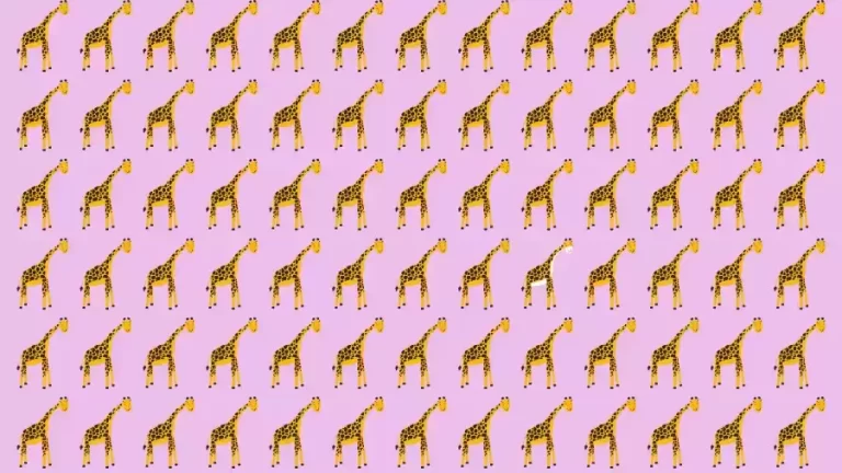 Optical Illusion Challenge: If you have Eagle Eyes find the Odd Giraffe in 15 Seconds