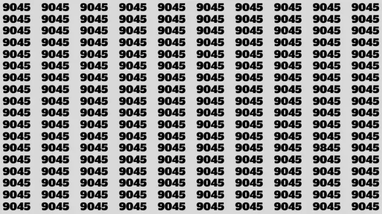 Observation Find it Out: If you have Sharp Eyes Find the number 9845 among 9045 in 20 Secs