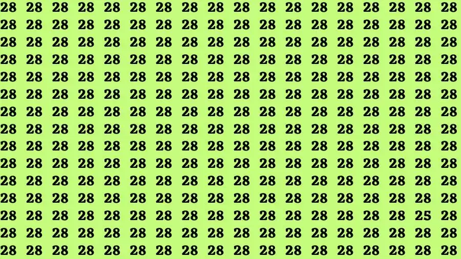 Optical Illusion Brain Challenge: If you have 50/50 Vision Find the number 25 among 28 in 12 Secs