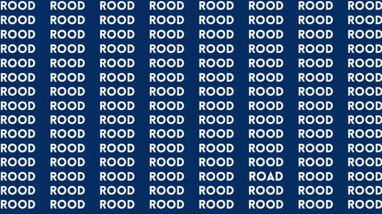 Observation Brain Challenge: If you have Eagle Eyes Find the word Road in 15 Secs