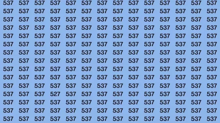 Optical Illusion Brain Challenge: If you have Hawk Eyes Find the Number 527 among 537 in 15 Secs