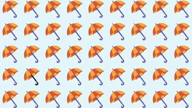 Optical Illusion Brain Test: If you have Eagle Eyes find the Odd Umbrella in 8 Seconds