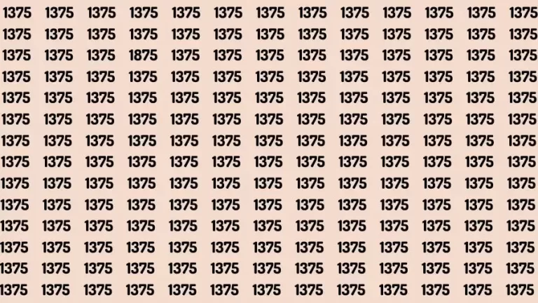 Optical Illusion Brain Test: If you have Sharp Eyes Find the Number 1875 among 1375 in 20 Secs