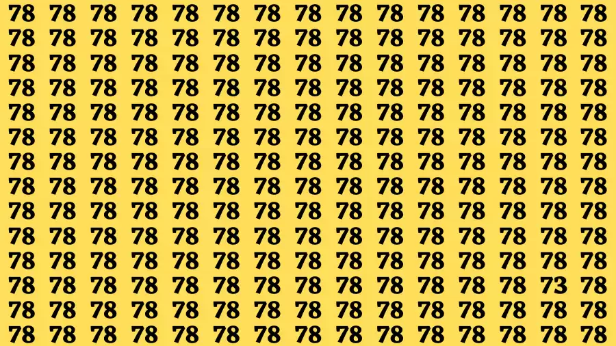 Observation Brain Challenge: If you have Hawk Eyes Find the Number 73 among 78 in 15 Secs