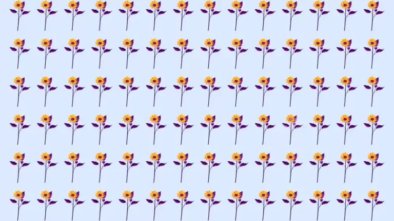 Optical Illusion Brain Test: If you have Eagle Eyes find the Odd Flower in 8 Seconds