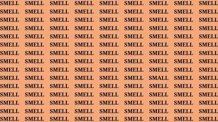 Observation Skill Test: If you have Keen Eyes Find the Word Small among Smell in 15 Secs