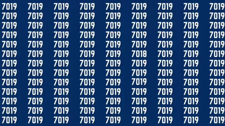 Observation Brain Challenge: If you have Hawk Eyes Find the Number 7018 among 7019 in 15 Secs