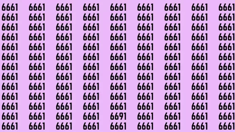 Observation Brain Challenge: If you have Eagle Eyes Find the number 6691 among 6661 in 12 Secs