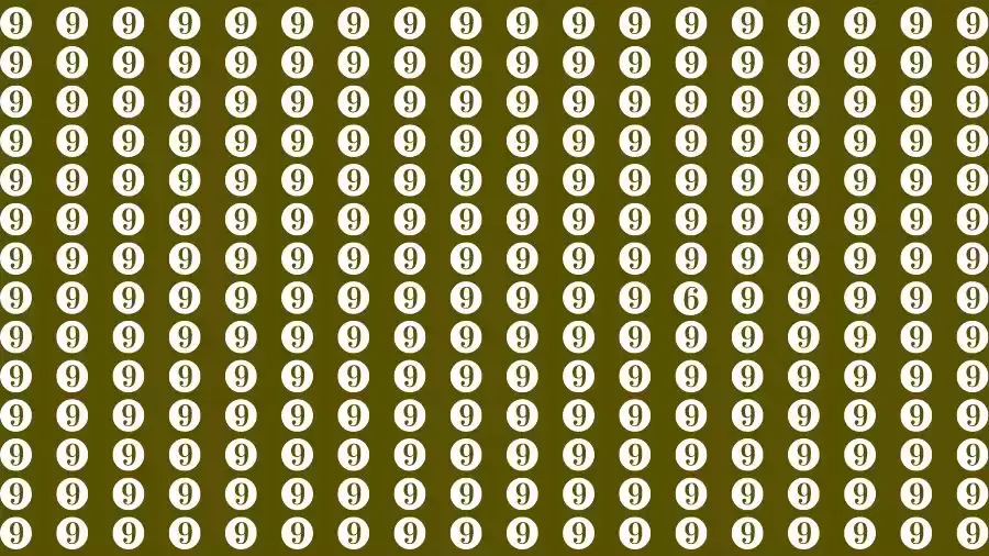 Optical Illusion Brain Challenge: If you have Hawk Eyes Find the number 6 among 9 in 15 Seconds?