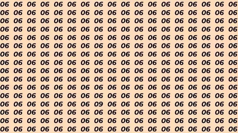 Observation Skill Test: If you have Eagle Eyes Find the number 09 among 06 in 10 Seconds?