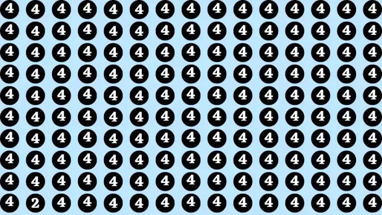 Observation Brain Challenge: If you have Hawk Eyes Find the Number 2 among 4 in 15 Secs